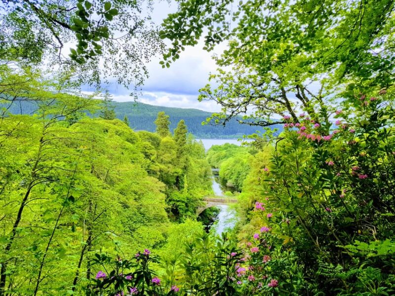 Inverness: Private Secret Hike to the Shores of Loch Ness - Customer Reviews and Experience