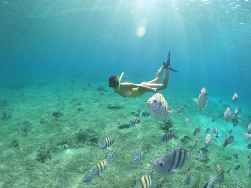 Invisible Boat Snorkeling Adventure in Cozumel - Booking and Cancellation