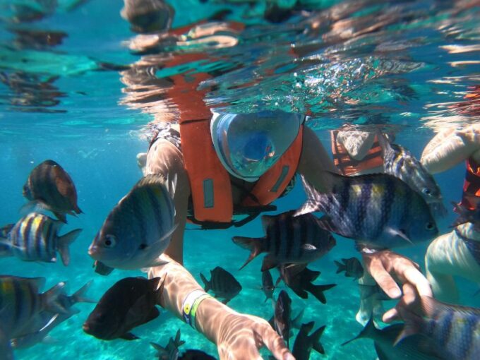 Invisible Boat Snorkeling Adventure in Cozumel - Frequently Asked Questions