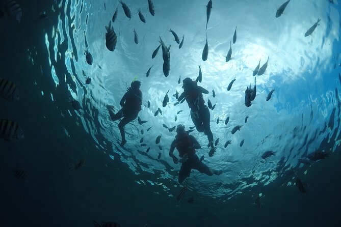 Invisible Boat Snorkeling Adventure in Cozumel - Inclusions and Exclusions