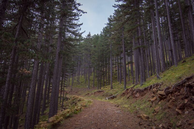 Ioannina: Valia Calda Off-Road & Cooking Experience - Hiking and Natural Pools