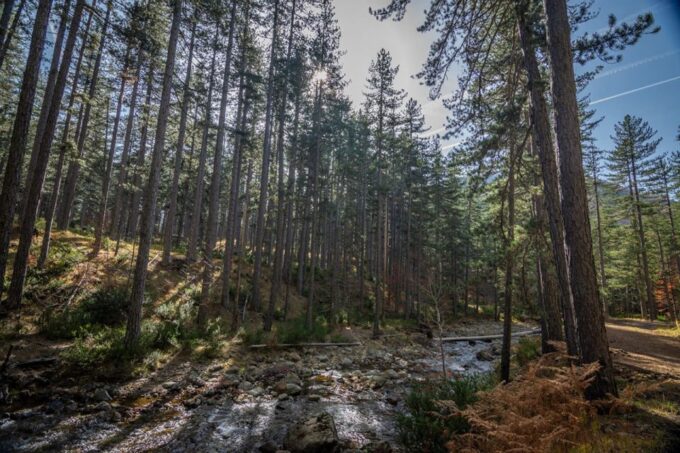 Ioannina: Valia Calda Off-Road & Cooking Experience - Aoos Springs Lake