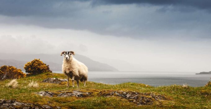 Iona, Mull, and Isle of Skye: 5-Day Tour From Edinburgh - Age Restrictions
