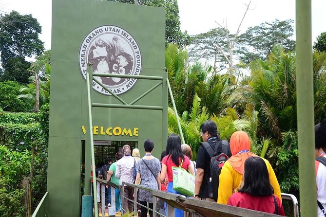 Ipoh & Orang Utan Island Day Tour From Kuala Lumpur - Reviews