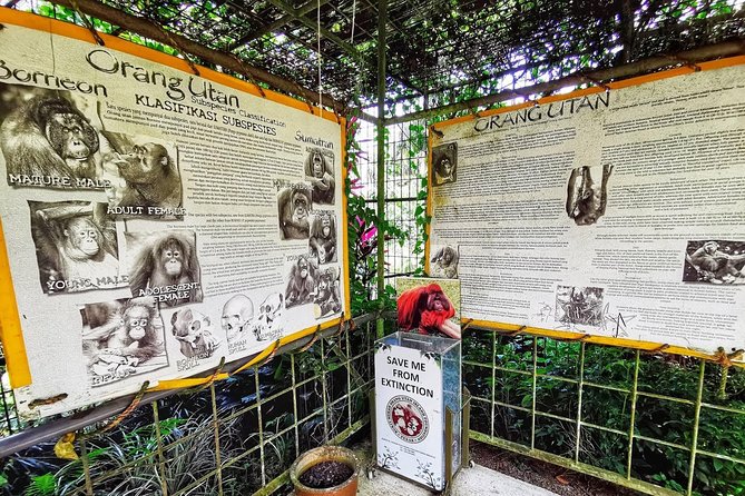 Ipoh & Orang Utan Island Day Tour From Kuala Lumpur - Highlights of the Experience