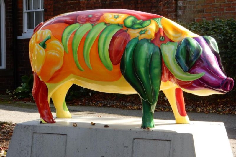 Ipswich: Quirky Self-Guided Heritage Walks - Details of the Self-Guided Walks