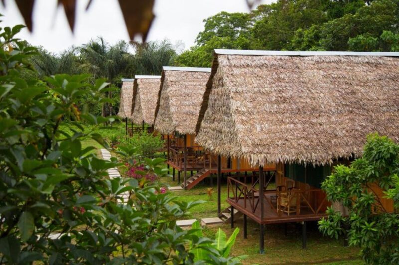 Iquitos: 2 Days and 1 Night Guided Amazon Jungle Tour - Itinerary Highlights