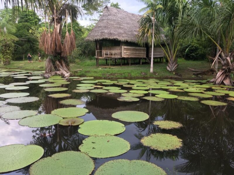 Iquitos: 2 Days and 1 Night Guided Amazon Jungle Tour - Zipline and Canopy Tour