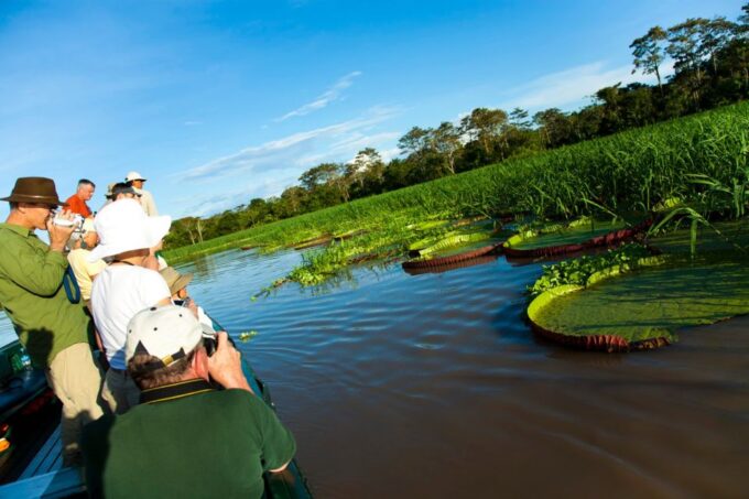 Iquitos: 2 Days and 1 Night Guided Amazon Jungle Tour - Important Information