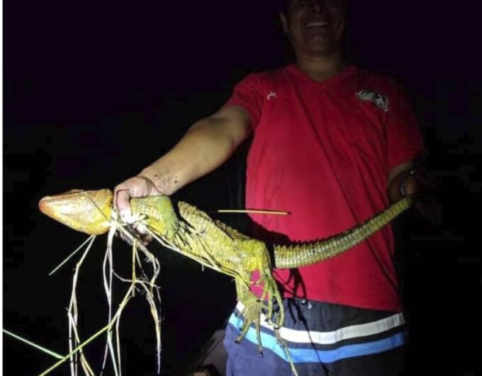 Iquitos: 3-Day Amazon Adventure With Nature and Wildlife - Frequently Asked Questions