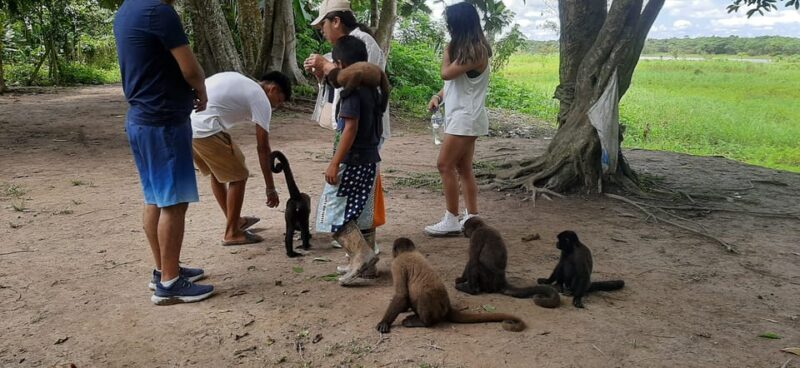 Iquitos: 3-Day Amazon Jungle Lodge With Pool - Key Points