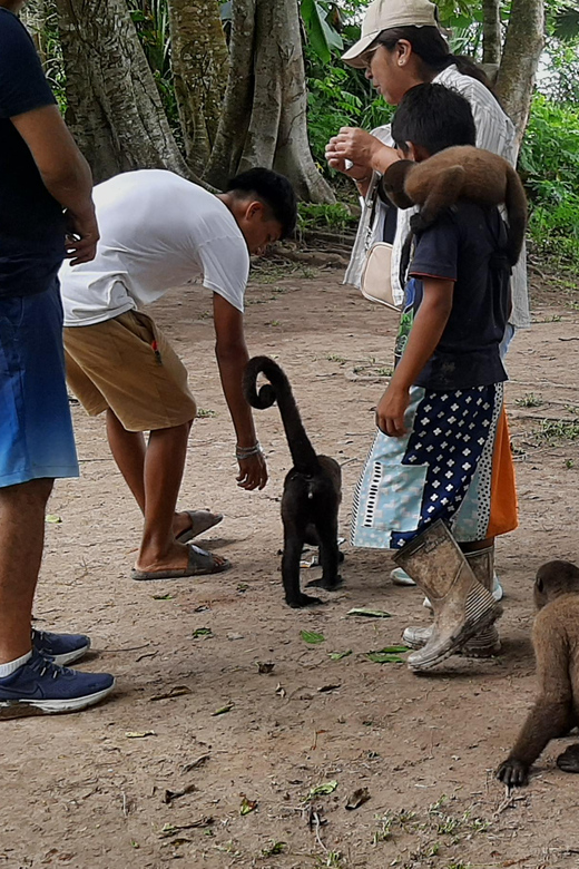 Iquitos: 3-Day Amazon Jungle Lodge With Pool - Day 1 Activities