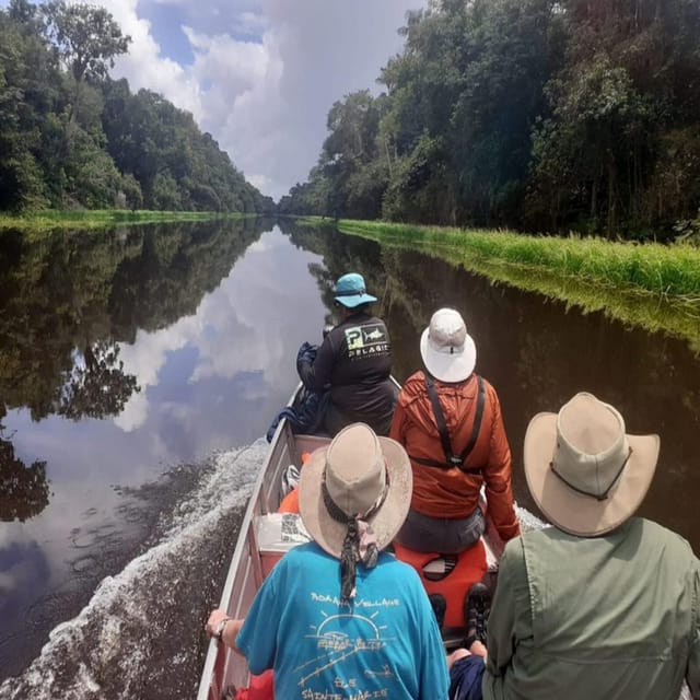 Iquitos: 3-Day Jungle Wildlife Adventure With Accommodation - Key Points