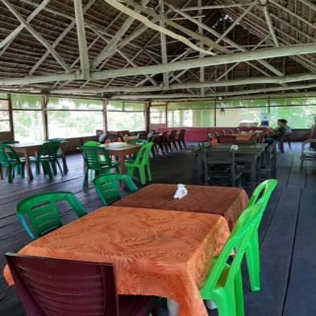 Iquitos: 3-Day Jungle Wildlife Adventure With Accommodation - Night Excursions for Alligators