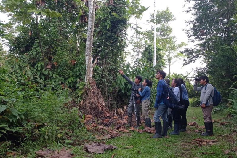 Iquitos: 3-Day San Rafael Community Rainforest Tour - Key Points