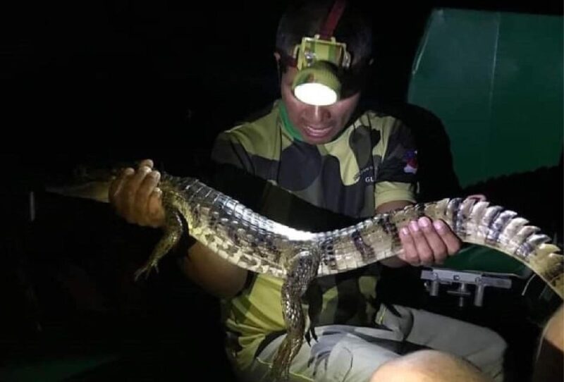 Iquitos: 3 Days and 2 Nights | Crossing the Amazon - Key Points