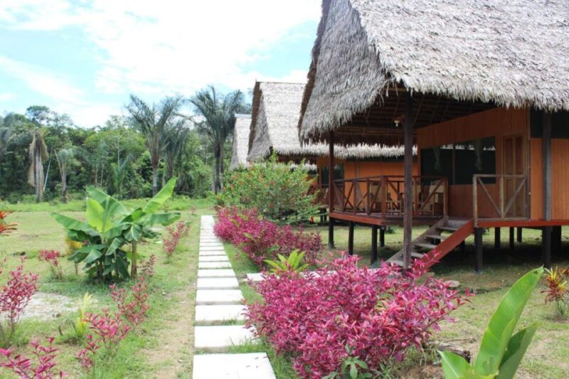 Iquitos: 3 Days and 2 Nights Guided Amazon Jungle Tour - Itinerary Highlights