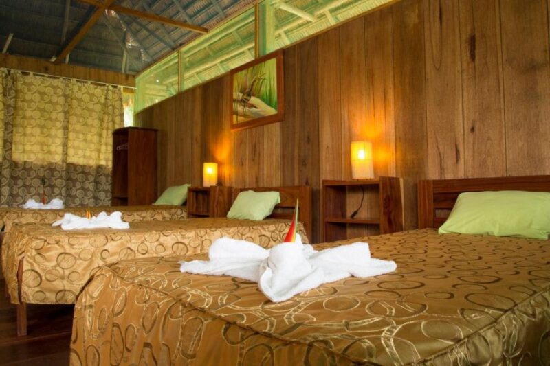Iquitos: 3 Days and 2 Nights Guided Amazon Jungle Tour - Important Information