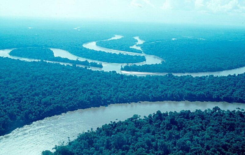 Iquitos 3D |Boat Trips+Piranha Fishing+Nocturnal Excursion| - Key Points
