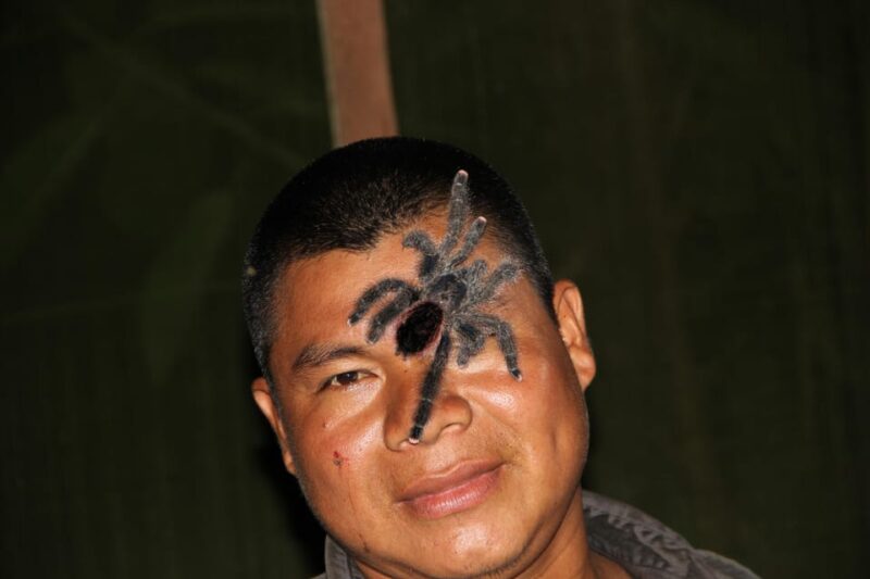Iquitos: 3d2n Jungle Tour Pacaya Samiria National Reserve - Accommodation and Meals