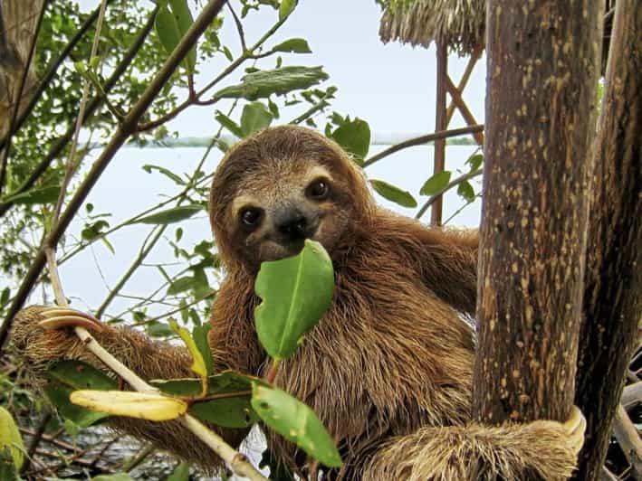 Iquitos 3D:Boat Rides, Piranha Fishing and Night Adventure - Key Points