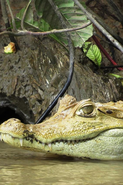 Iquitos 3D:Boat Rides, Piranha Fishing and Night Adventure - What to Bring