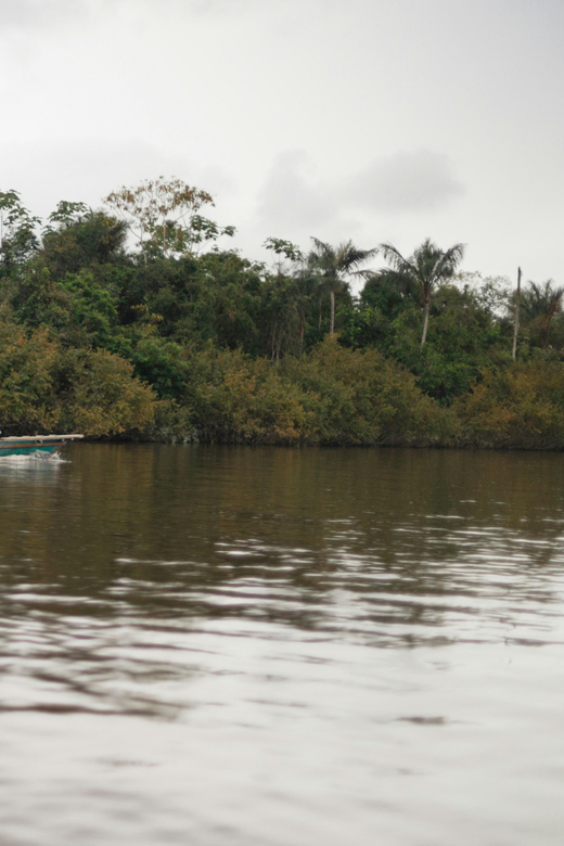 Iquitos: 4-Day Amazon Jungle Tour With Hotel Pickup - Day 1 Highlights