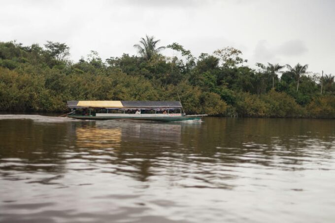 Iquitos: 4-Day Amazon Jungle Tour With Hotel Pickup - Important Information