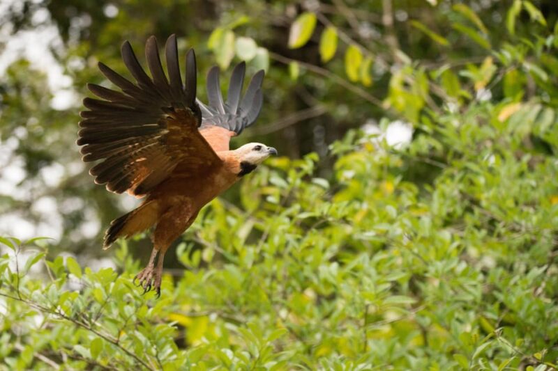 Iquitos: 4d3n Extreme Adventure Jungle Tour - Guide and Company