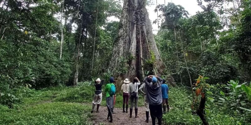 Iquitos: 4d3n Extreme Adventure Jungle Tour - Exclusions