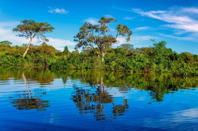 Iquitos: 6-Hour Amazon River Tour W/ Belén & Butterfly Farm - Picnic Lunch and Bottled Water