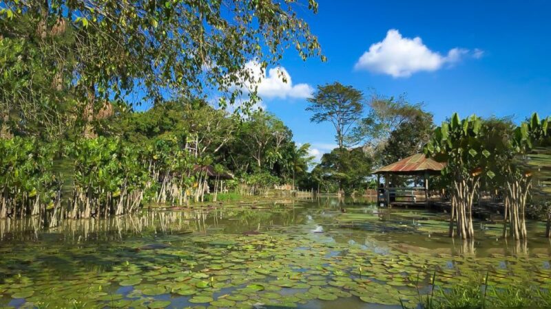 Iquitos: 6-Hour Wonderful Wildlife Guided Tour - Key Points