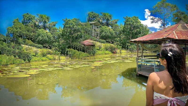 Iquitos: 6-Hour Wonderful Wildlife Guided Tour - Wildlife Experience