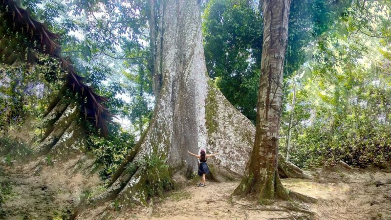 Iquitos: 6-Hour Wonderful Wildlife Guided Tour - Important Information