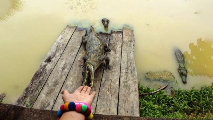 Iquitos: 6-Hour Wonderful Wildlife Guided Tour - Customer Reviews