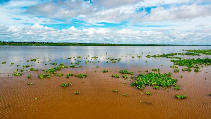 Iquitos: 6-Hour Wonderful Wildlife Guided Tour - Frequently Asked Questions