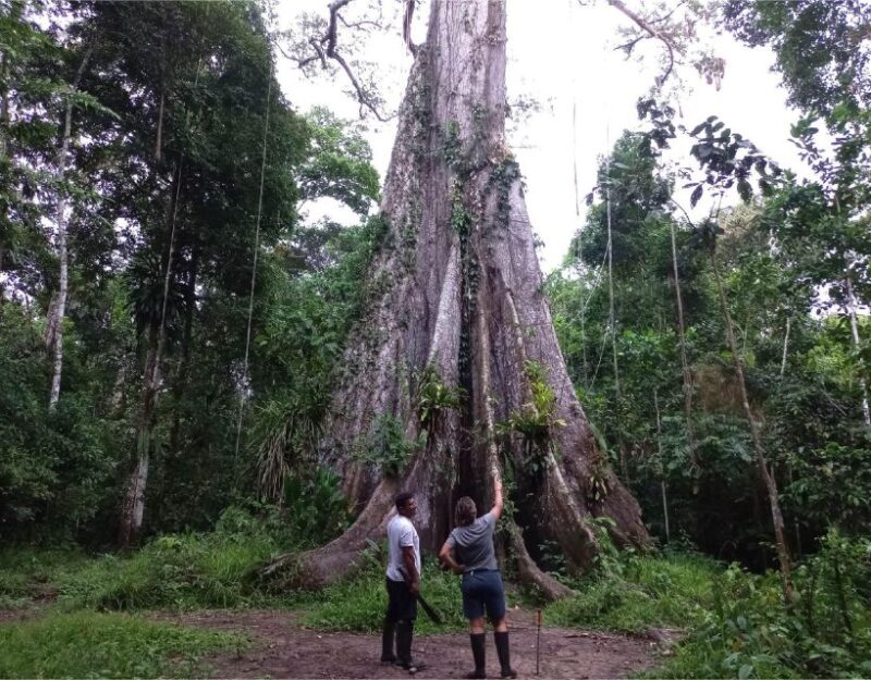 Iquitos: Adventure on the Black River (Yanayacu) | 4 Days - Daily Itinerary: Day 3