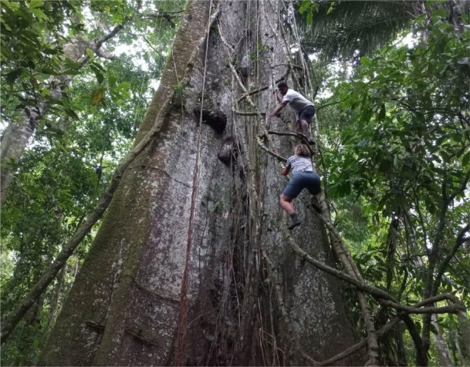 Iquitos: Adventure on the Black River (Yanayacu) | 4 Days - Participant Restrictions