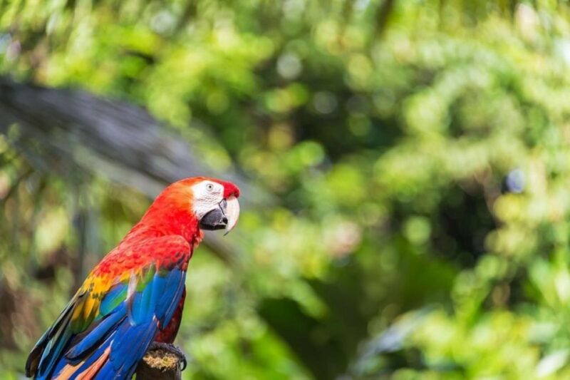 Iquitos: Amazon Adventure 4-Day: Nature and Culture - Logistical Considerations