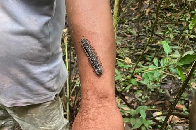 Iquitos: Amazon Adventure: Nature and Wildlife | 3 Days - Preparing for the Adventure