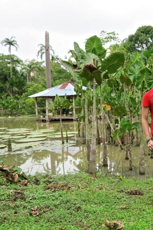 Iquitos: Amazon For 4 Days | Nanay River, Monkey Watching | - Itinerary Highlights