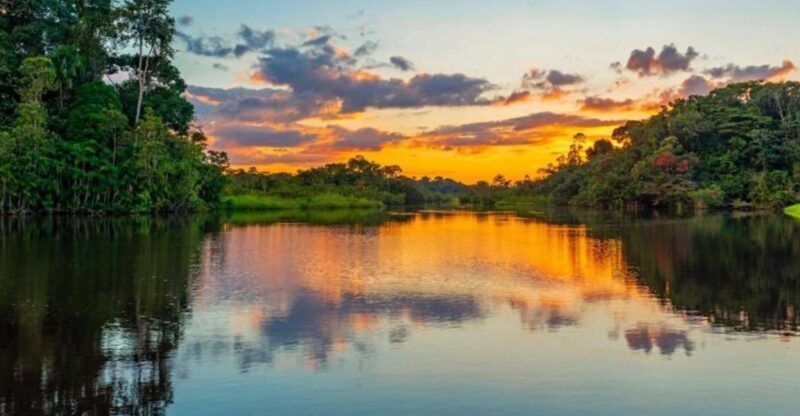 Iquitos: Amazon Jungle in 2 Days: Adventure and Expedition - Highlights of the 2-Day Itinerary