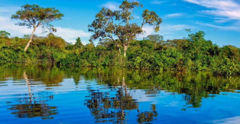 Iquitos: Amazon River Full Day Guided Tour - Itinerary and Highlights