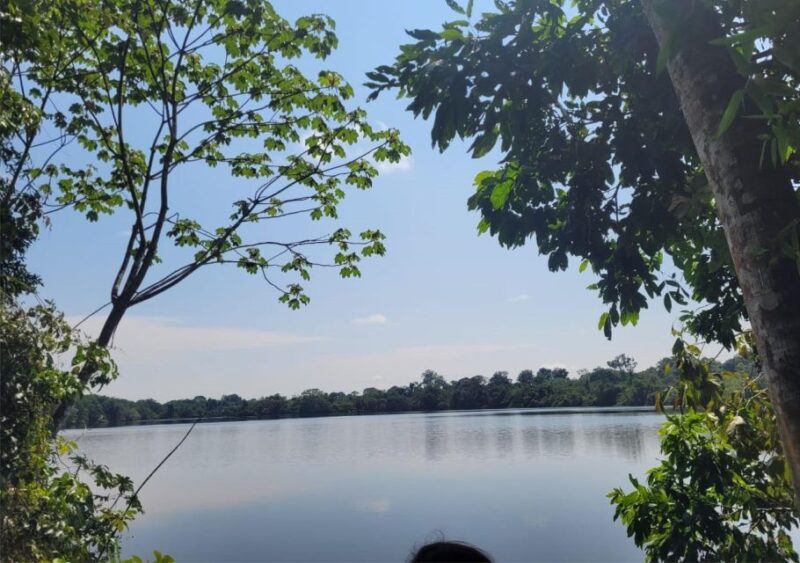 Iquitos: Ayahuasca and Its Curative Power - Experience Highlights