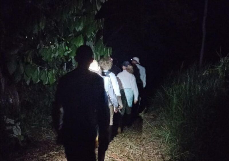 Iquitos: Ayahuasca and Its Curative Power - Medicinal Plant Walk and Bath