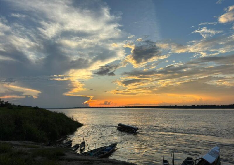 Iquitos: Ayahuasca and Its Curative Power - Dolphin Observation and Piranha Fishing