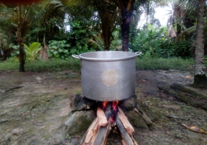 Iquitos: Ayahuasca and Its Curative Power - Sunrise Contemplation and Bird Observation