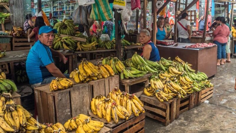 Iquitos: Belen Market and Venice Loretana Guided Tour - Key Points