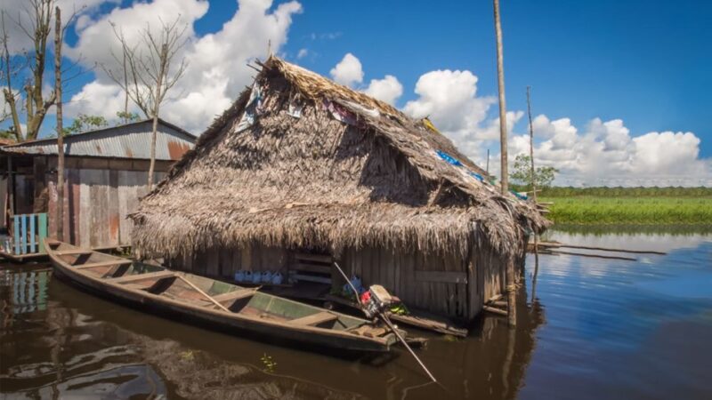 Iquitos: Belen Market and Venice Loretana Guided Tour - Navigating the Houseboat District
