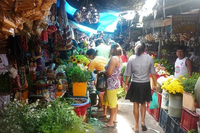 Iquitos City Tour (FULL DAY) - Tour Experience